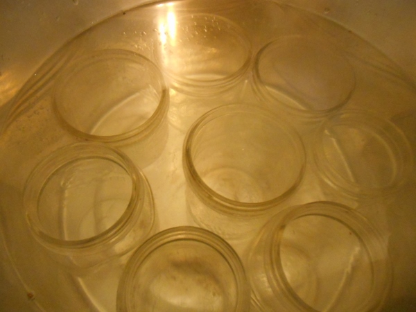 2013-01-01 413 (600x450)