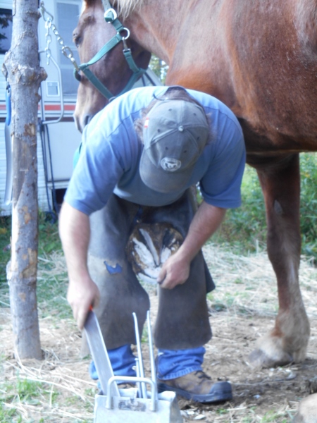 2013-01-01 437 (450x600)