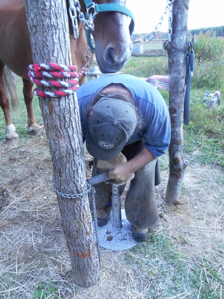 2013-01-01 438 (450x600)