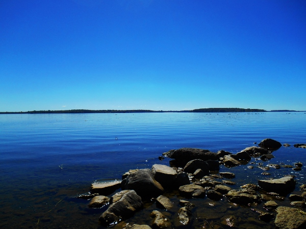 2013-01-01 468 (600x450)