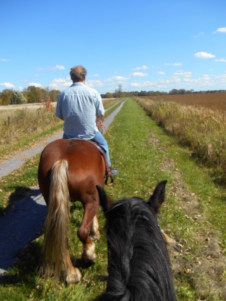 2013-01-01 476 (450x600)