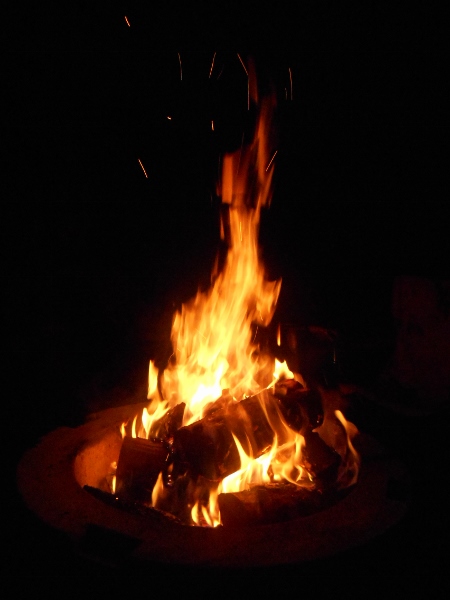 2013-01-01 790 (450x600)