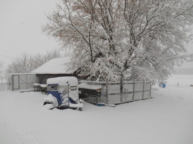 2013-01-01 924 (800x600)