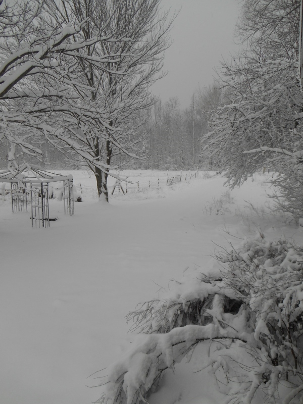 2013-01-01 925 (600x800)