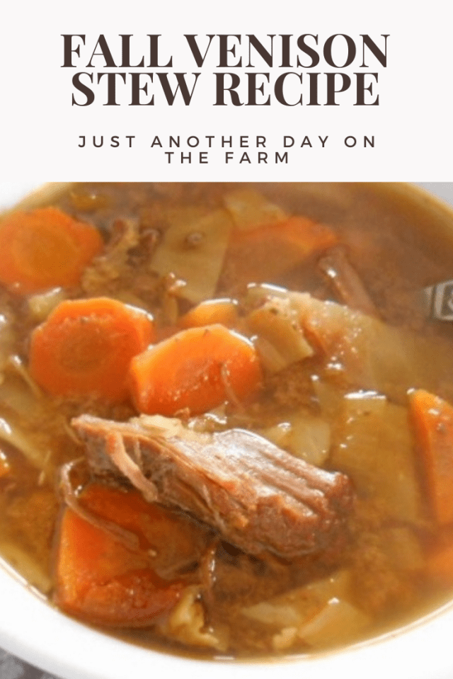 Fall Venison Stew Recipe