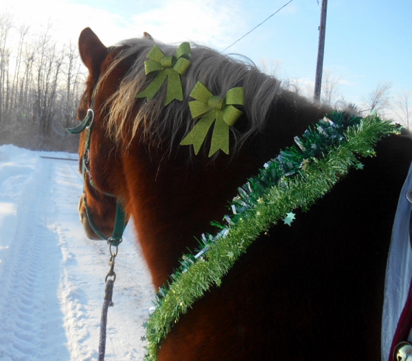 2013-01-01 1028 (600x526)