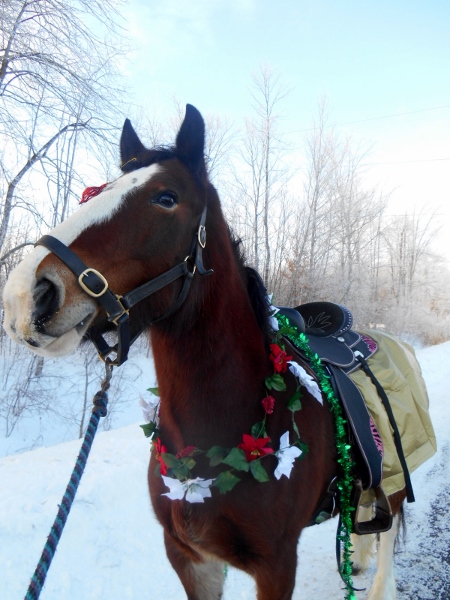 2013-01-01 1048 (450x600)