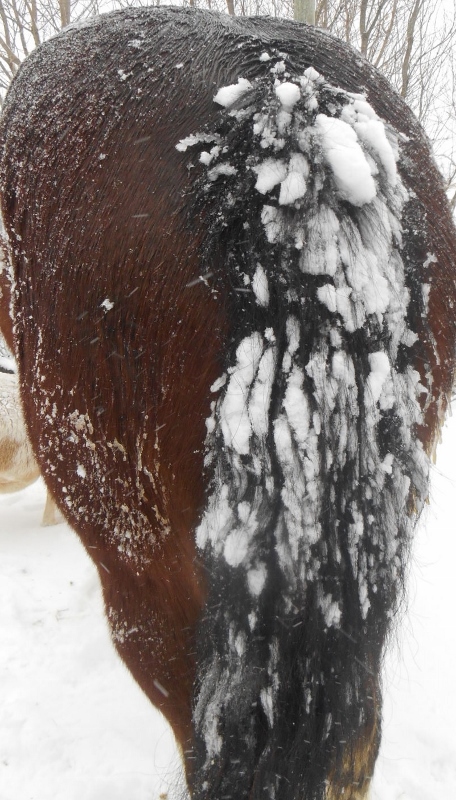 2013-01-01 997 (456x800)