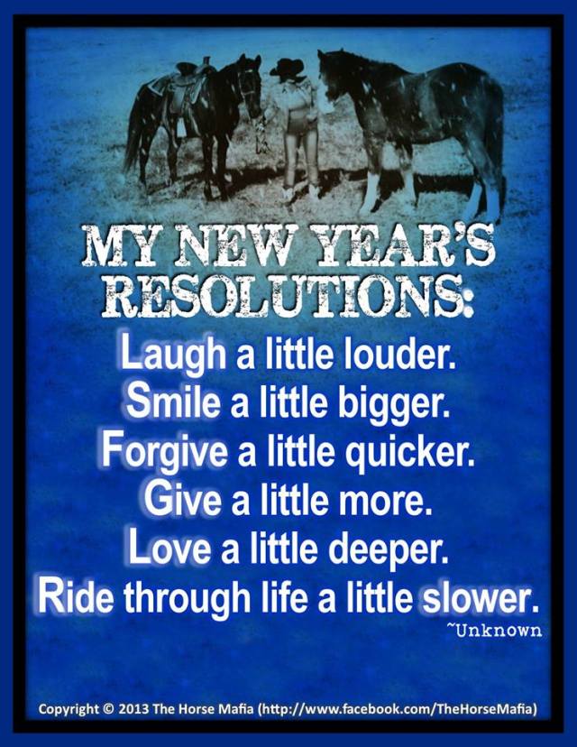 946950_695865030446237_1990983061_n