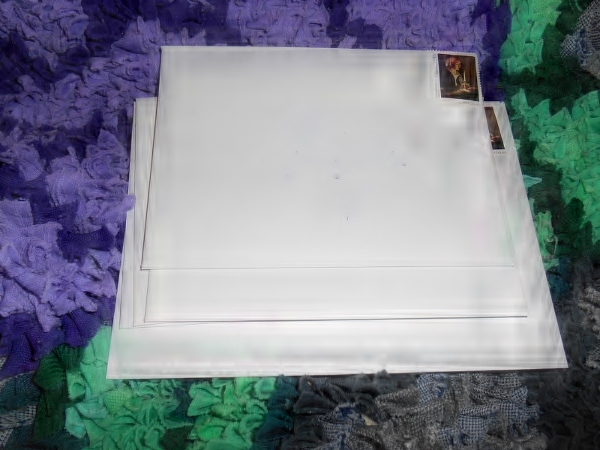 2013-01-01 1143 (600x450)