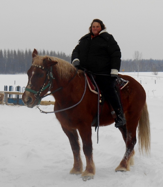 2013-01-01 1176 (522x600)