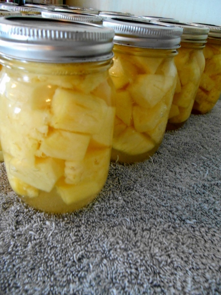 2013-01-01 1244 (450x600)