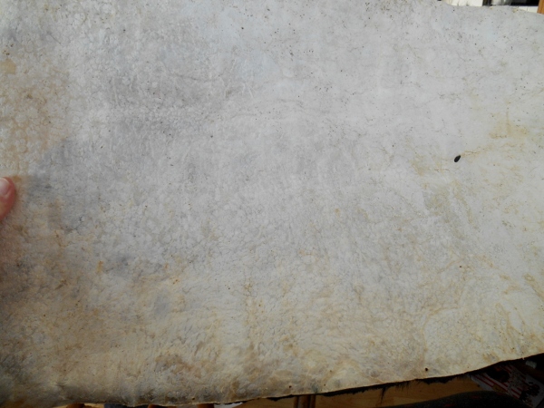 2013-01-01 1250 (600x450)