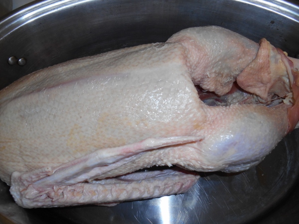 2013-01-01 1261 (600x450)