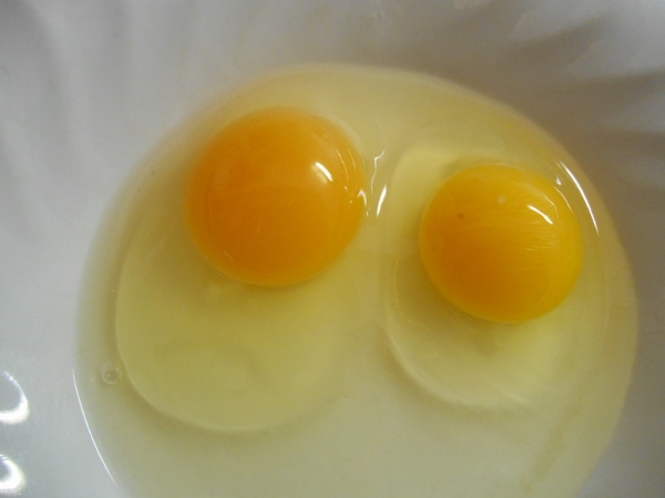 2013-01-01 1313 (600x450)