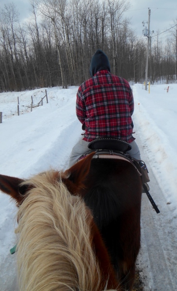 2013-01-01 1482 (364x600)