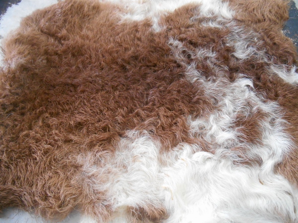 2013-01-01 1537 (600x450)