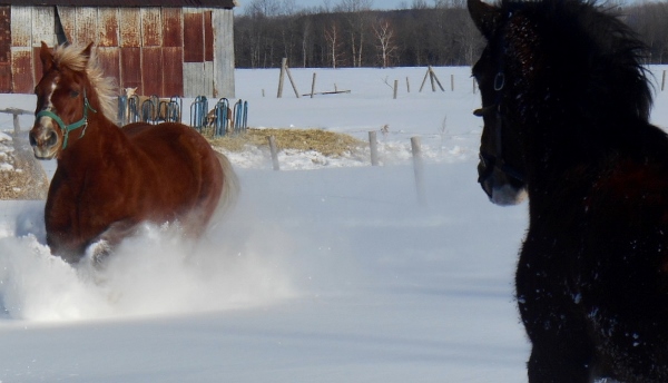 2013-01-01 1580 (600x344)