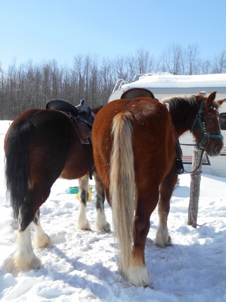 2013-01-01 1590 (450x600)