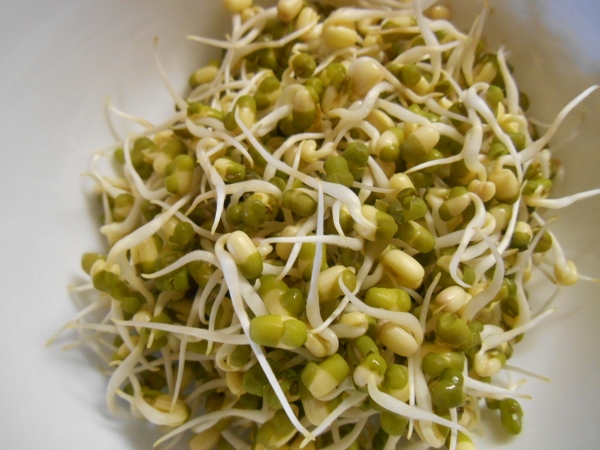 2013-01-01 1625 (600x450)