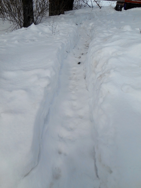 2013-01-01 1642 (450x600)