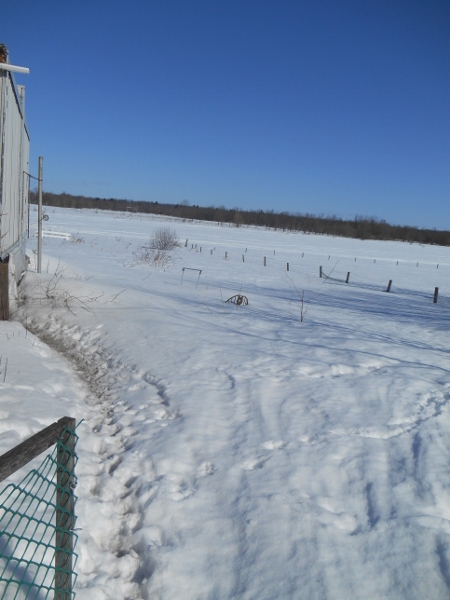 2013-01-01 1667 (450x600)