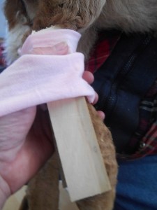 2013-01-01 1676 (450x600)