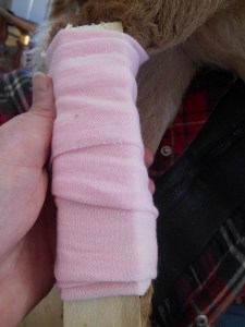 2013-01-01 1678 (450x600)