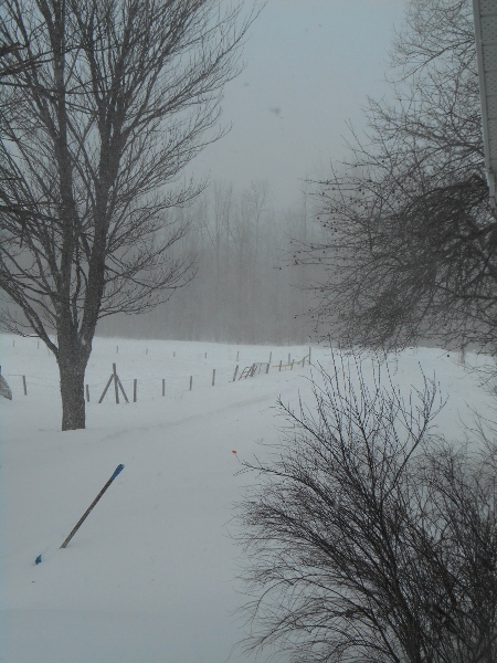 2013-01-01 1713 (450x600)