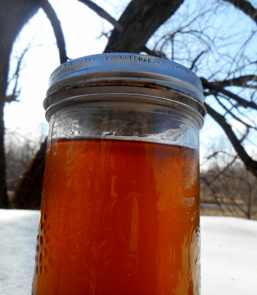 2013-01-01 1868 (524x600)