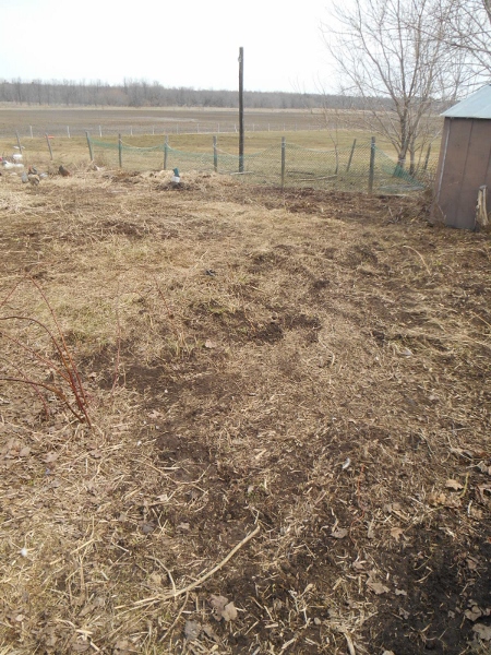 2013-01-01 1876 (450x600)