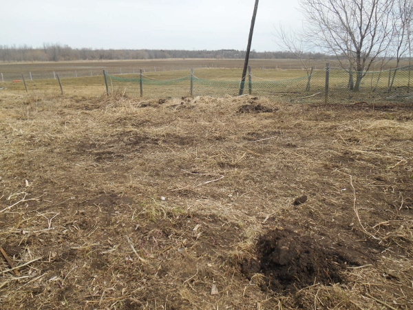 2013-01-01 1878 (600x450)