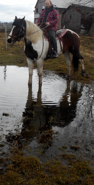 2013-01-01 1928 (305x600)