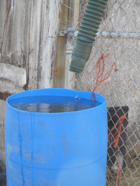 2013-01-01 1938 (450x600)