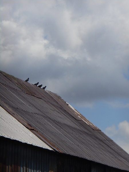 2013-01-01 1942 (450x600)