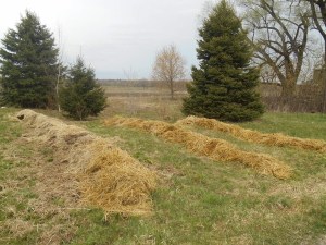 2013-01-01 1971 (600x450)