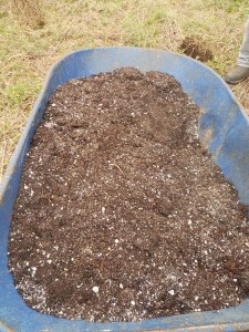 2013-01-01 1978 (450x600)