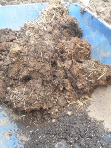 2013-01-01 1989 (450x600)