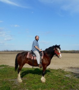 2013-01-01 2017 (526x600)