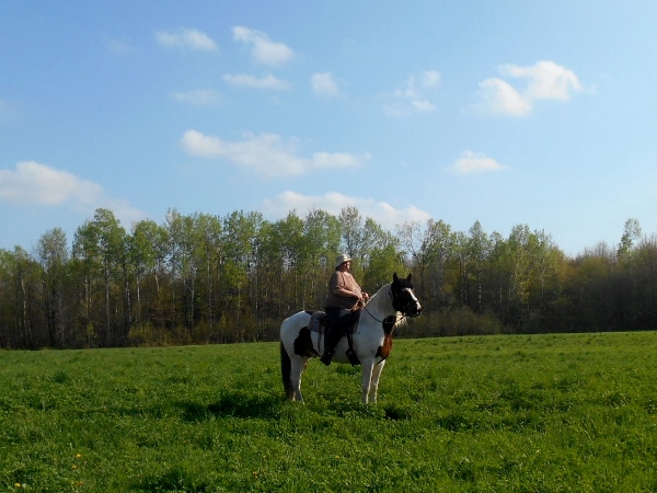 2013-01-01 2043 (600x450)