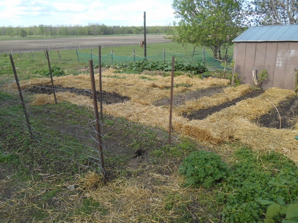 2013-01-01 2081 (600x450)