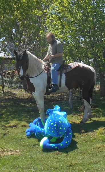 2013-01-01 2100 (368x600)