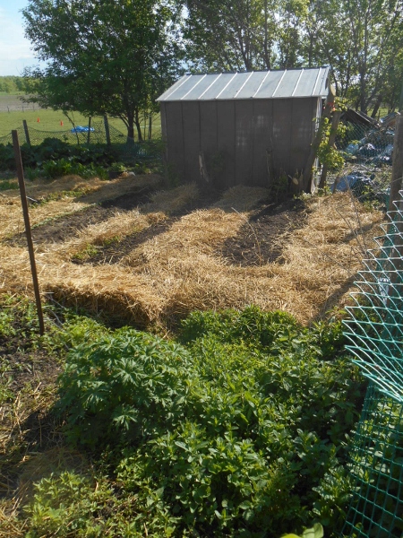 2013-01-01 2116 (450x600)