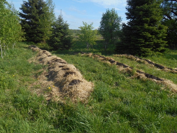 2013-01-01 2122 (600x450)