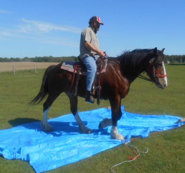 2013-01-01 2167 (600x561)