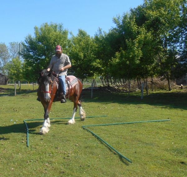 2013-01-01 2168 (600x568)