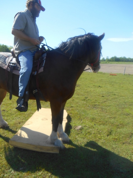 2013-01-01 2170 (450x600)