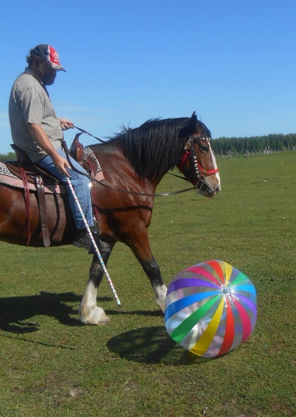 2013-01-01 2182 (426x600)