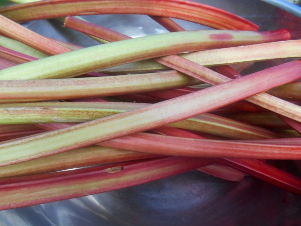 2013-01-01 2197 (600x450)