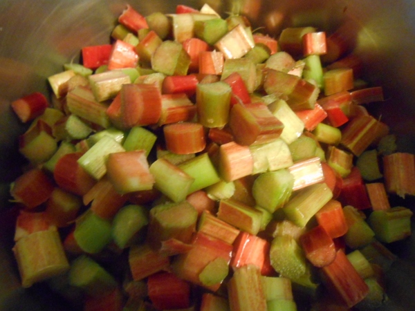 2013-01-01 2198 (600x450)